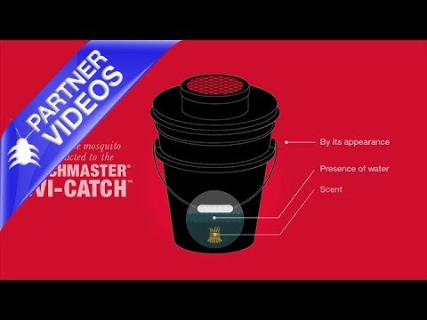  Catchmaster Ovi-Catch Mosquito Trap Video 