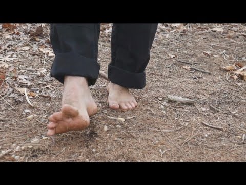 Learn How To Fox Walk