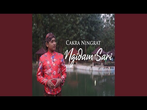 Nyidham Sari