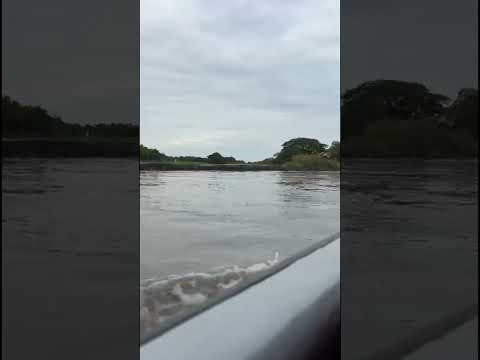 Río Meta.. en su paso por Orocue Casanare …