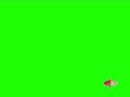 Teletoon Screen Bug Template 2008 2011