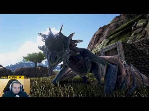 LE MIE DUE VIVERNE APPENA NATE #33 - ARK SURVIVAL EVOLVED RAGNAROK GAMEPLAY ITA