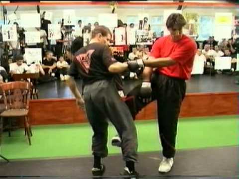 Wing Tsun Highlights Part 1