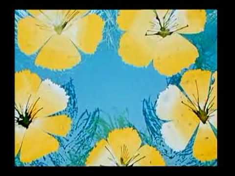 Pohádky z mechu a kapradí - Jak Křemílek a Vochomůrka udělali obrovi píšťalku