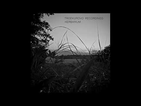 Toki Fuko, Vadim Basov, Evgeny Vorontsov - Troekurovo Session '20 (Herbarium) [Full Album]
