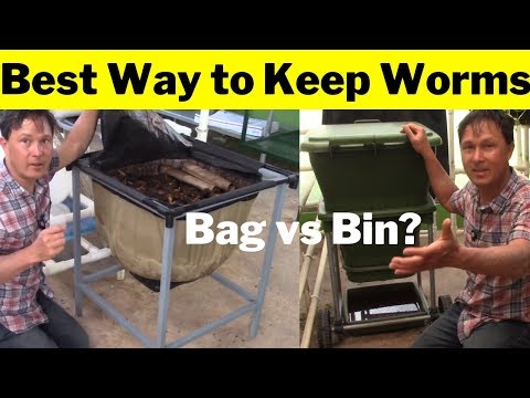 Best Way to Keep Worms: Hungry Bin Worm Farm vs Urban Worm Bag Review