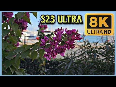 8k30fps S23 ULTRA