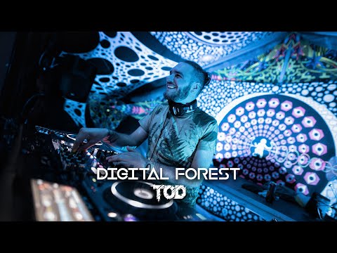 TOD - Digital Forest 2024 - Psytechno set
