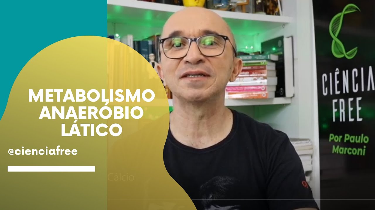 Metabolismo Anaeróbio Lático