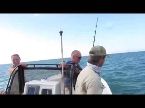 Monster Shark Attacks Fishing Boat Florida Keys