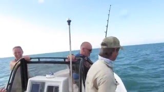 Monster Shark Attacks Fishing Boat Florida Keys