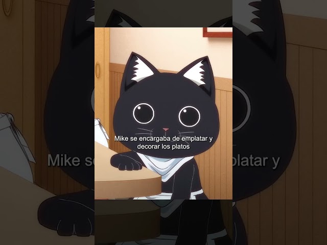 Vídeo relacionado con Gato Kawaii Comiendo Fideos Ramen Anime Great Wave Kanagawa Camiseta