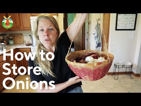 , title : 'How to Store Onions for Long-Term