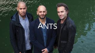 ANTS new album 12 mai 2017 (en concert 15 juin au Sunset)