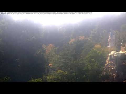 Live webcam of Disneyland Cam