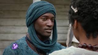 Sedale - Getting Back to the Roots | American Latino video