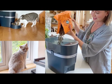 Petsafe Smart Feed Automatic Dog and Cat Feeder Review