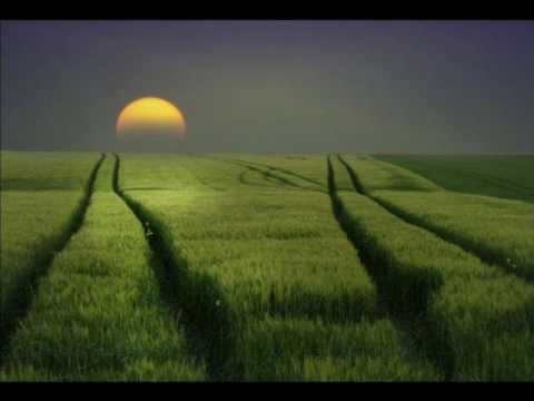 Jefferson Airplane - Somebody To Love ( Body & Soul Bootleg )