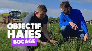 Download lagu Agroforestry: Bocage Restoration and Multi-Purpose Hedges mp3