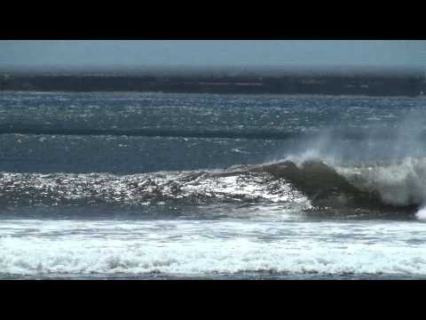 Surfspaß auf den Wellen in der Ma'alaea Bay