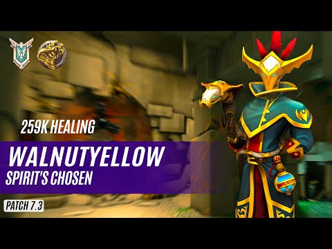 259K HEALING WalnutYellow MALDAMBA PALADINS COMPETITIVE (MASTER) SPIRIT'S CHOSEN