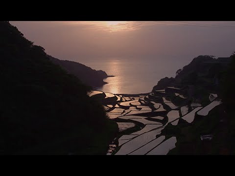 浜野浦の棚田