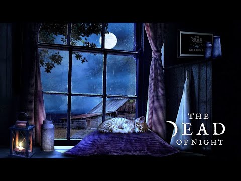 Stormy Night at the Farmhouse Ambience ‎‍🌾⛈️ | Rain & Thunder Sounds for Relaxation