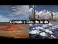 Cumulus Clouds in 4k