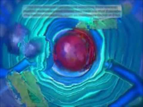 The Causes of Diseases, Free Radicals and Anti Oxidants