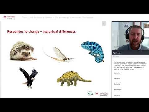 Macmillan Argentina. 2020. Professional Development for Teachers in the “New Normal” Q&A. Webinar. 