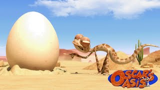 Oscar Discovers an Egg | Oscar's Oasis Kids Cartoons