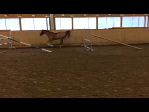 Lucky Moon Freispringen