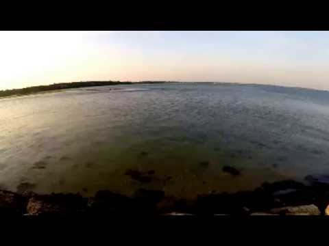 Ryan GoFishing With Marcos & Paulo