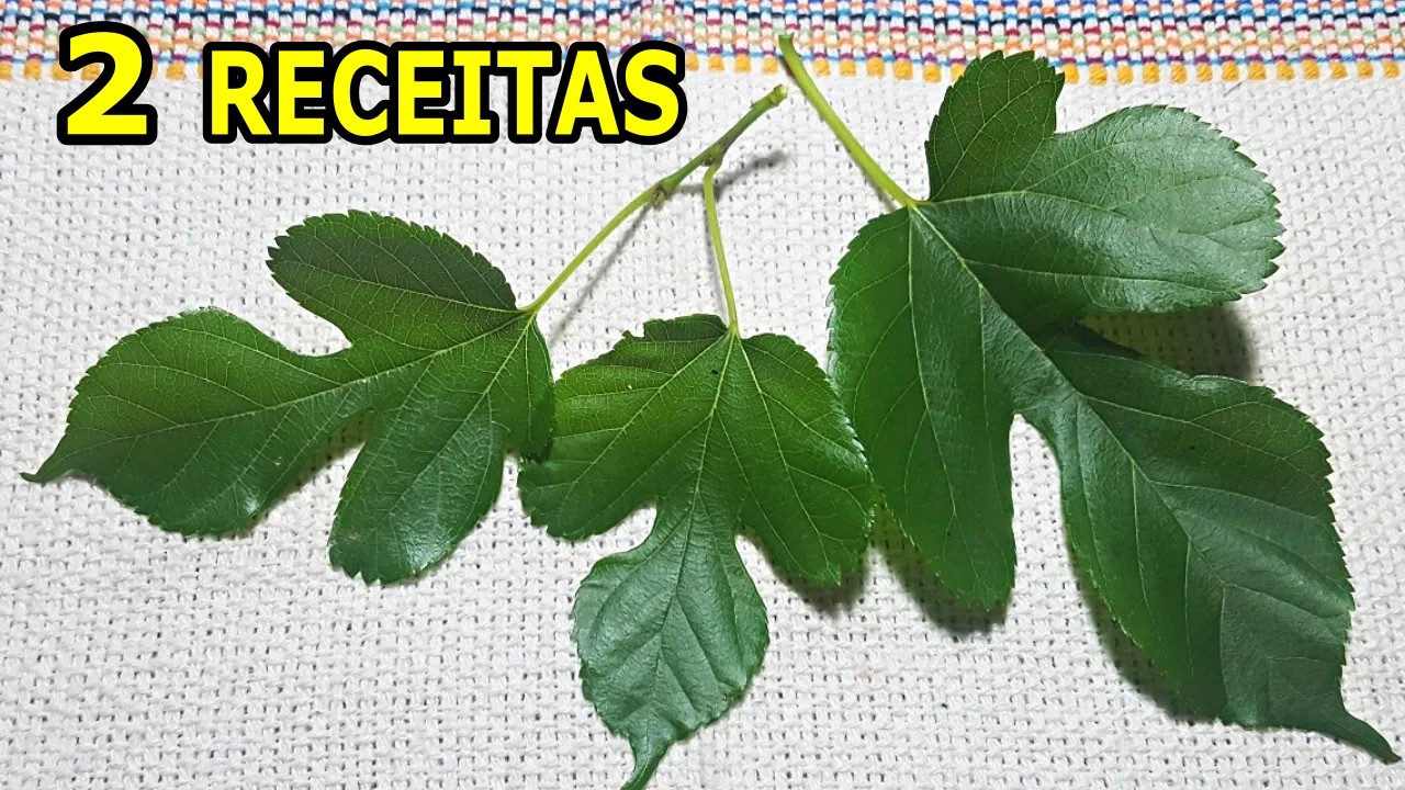 Regula a Tireoide, a Pressão e os Calores da Menopausa 💖 MARILENE SARAH FIALHO