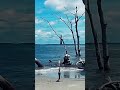 Lighthouse sea vibes Charleston South Carolina "Shine A Little Light" Out Now! 🌊