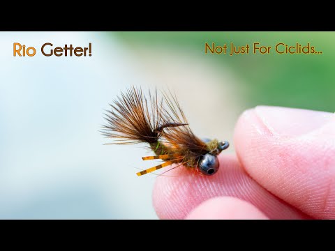 Rio Getter! - You Name it, It will Catch it! - McFly Angler Nymph Fly Tying Video
