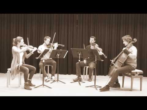 Feuerbach Quartett - Skyfall (Adele)