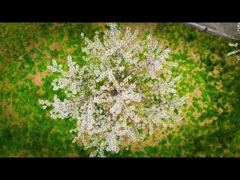 Crama Atti Pincészet Sântimreu Hegyközszentimre