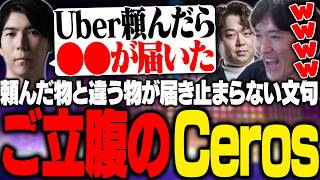 Uberで違うものが届きご立腹なCerosに爆笑するやうじ達【TFT/RIDDLE ORDER/ゆきお/Ceros/しゃるる】
