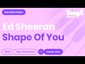 Ed Sheeran - Shape Of You (Lower Key) Karaoke Piano