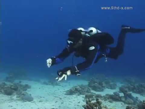 (5thD-X) Essentials Of Technical Diving - (9 Failures) Right Side Fixable