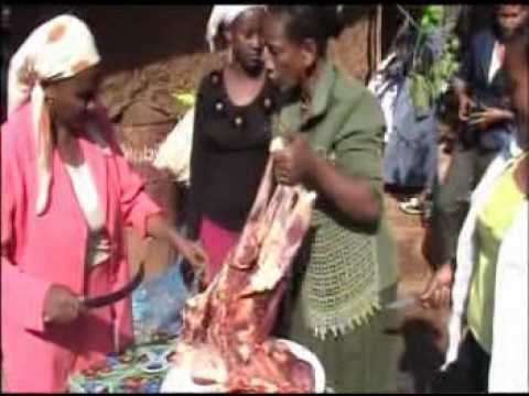 Abiraam Waaggaariifi Warqee Alamaayyoo AVSEQ03 1