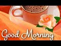 Good Morning Good Morning Wishes Good Morning Videos Status Youtube Youtube Video Pls Subscrib
