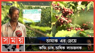 রাঙ্গামাটিতে পাহাড়ে চাষ উপযোগী কফির নতুন জাত উদ্ভাবন |