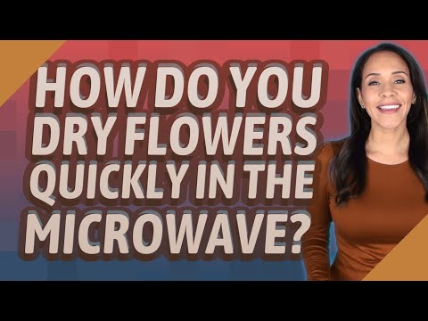 How do you dry flowers quickly in the microwave?