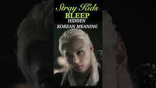 Download lagu SKZ's BLEEP Korean Hidden Meaning Pt.1 mp3