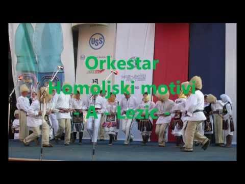 Orkestar Homoljski motivi   A