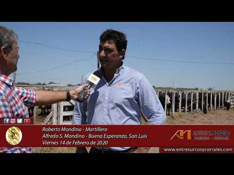 14-02-20  - Roberto Mondino - Martillero - Alfredo S. Mondino - Buena Esperanza (S.L.)