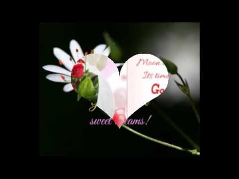  Good night flowers for whatsapp