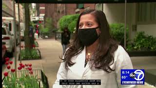 What To Know Pollen Allergy Season In NYC 2021